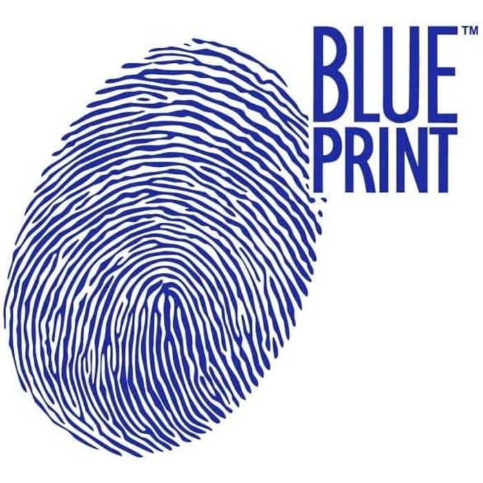 Комплект гальмівних дисків Blue Print ADG043136, 2 шт.