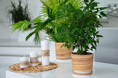 Горщик для квітів з блюдцем - Візерунок 047 Бамбук - 26 см - Кашпо з високоякісного пластику - Декоративний горщик для рослин 26 с