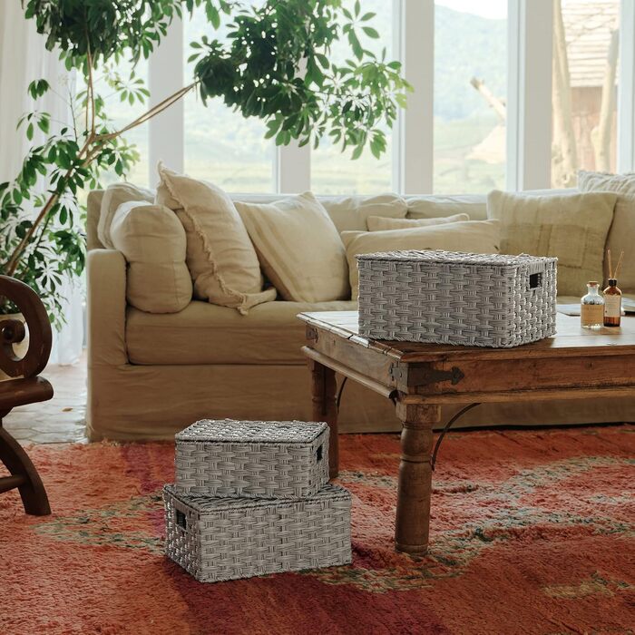 Кошик для зберігання GRANNY SAYS з кришкою, набір із 3 декоративних кошиків для зберігання, плетений кошик з ручками, великий сірий плетений кошик, міцний кошик з полицями для ванної кімнати, вітальні, кухні