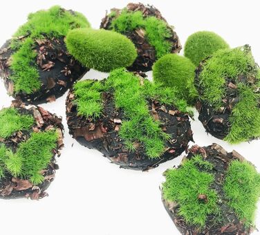 Учних мохових кульок, 30 декоративних штучних мохових каменів і 8 шт. учних мохових каменів із тирси для створення квіткових композицій, казкових садів і ремесел, 38 шт.