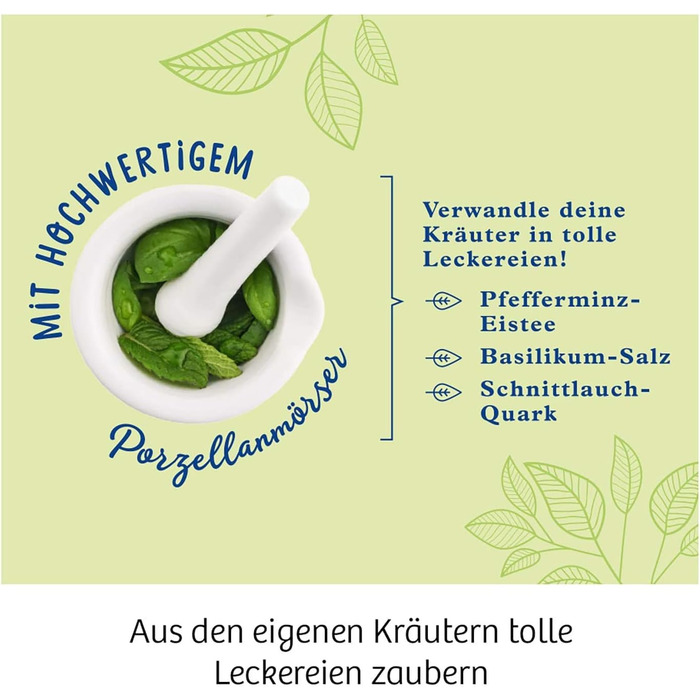 Набір для експериментів Herb Garden KOSMOS, вирощування трав