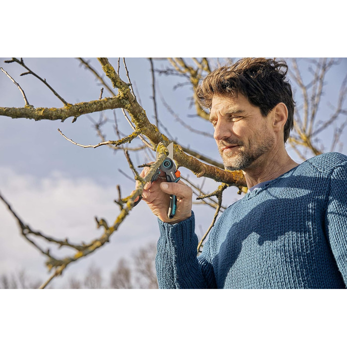 Садові ножиці Gardena ExpertCut Прецизійні ножиці для дерев, обхідний обріз гілок/гілок/фруктових дерев, максимальний діаметр різання 22 мм, 2-рівневе відкриття ручки (12203-20) Одинарні