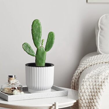 Кашпо для квітів з гнітом пластикове, кашпо для орхідей, кашпо для базиліка, кашпо для квітів малий набір біле набір з 6 шт. Ф12см