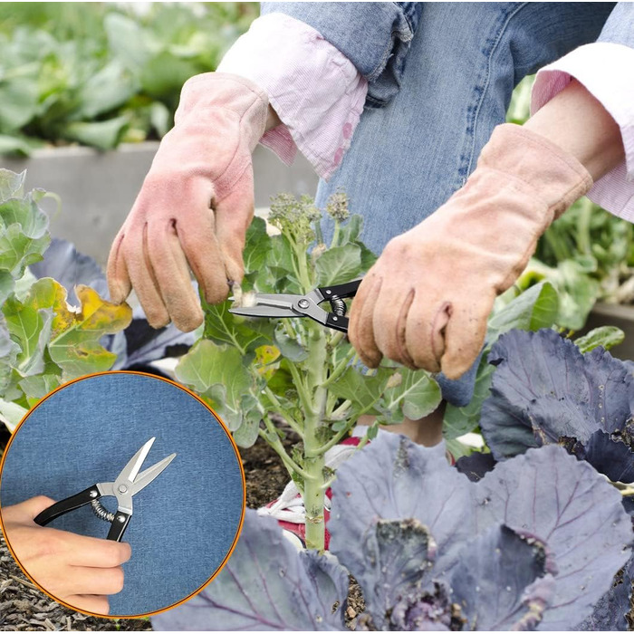 Набір інструментів для бонсай та сукулентів, 30 предметів комплект для початківців, включаючи килимок для пересадки, чохол з PU-шкіри та секатор для бонсай. Ідеальний подарунок для жінок та любителів рослин.