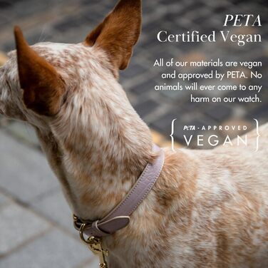 Мілан нашийник для собак з екошкіри, з регульованою пряжкою та м'якою підкладкою (Розмір L (47 см - 57 см)), Ліловий колір