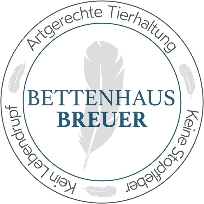 Подушка для шиї Dormabell Premium Down 40x80 см, ергономічна подушка із зовнішньою перегородкою 10 см, зовнішній шар зі 100 гусячого пуху, наповнювач із підтримуючими пружинами, бавовняний чохол