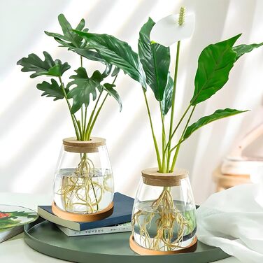 Ваза для закваски насіння авокадо Скляний плантатор Гідропонна скляна ваза для водних рослин або квітів Домашній офіс Оформлення столу 2 шт., 12x11