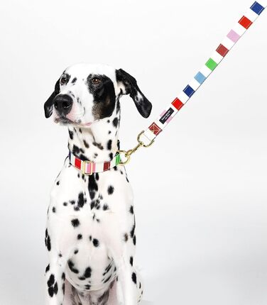 Ошийник для собак Kate Spade New York Adventure Stripe Large, золотиста металева пряжка, регульований розмір 39,4 - 61 см, підходить для собак середнього розміру (унісекс), стильний дизайн.