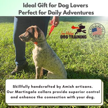 Нашийник-мартингал для собак, Biothane, фурнітура з нержавіючої сталі, проти висмикування, професійна якість, розмір M, помаранчево-червоний у зигзаг (Sunset Chevron), середній розмір