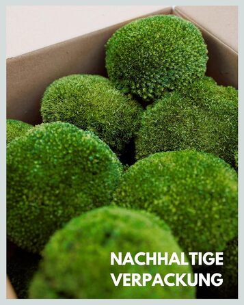 Шаровий мох збережений натуральний зелений 125 г Справжній Болленмосс для фотографій моху Міцний мох для рукоділля Водостійкий натуральний зелений ісландський мох