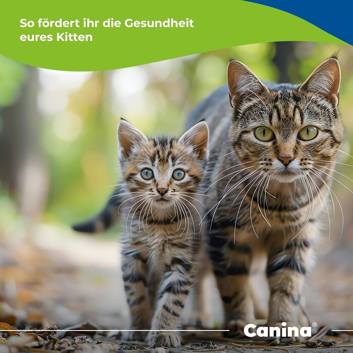 Молоко для кошенят Canina Pharma, 150 г