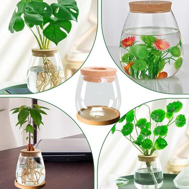 Ваза для закваски насіння авокадо Скляний плантатор Гідропонна скляна ваза для водних рослин або квітів Домашній офіс Оформлення столу 2 шт., 12x11