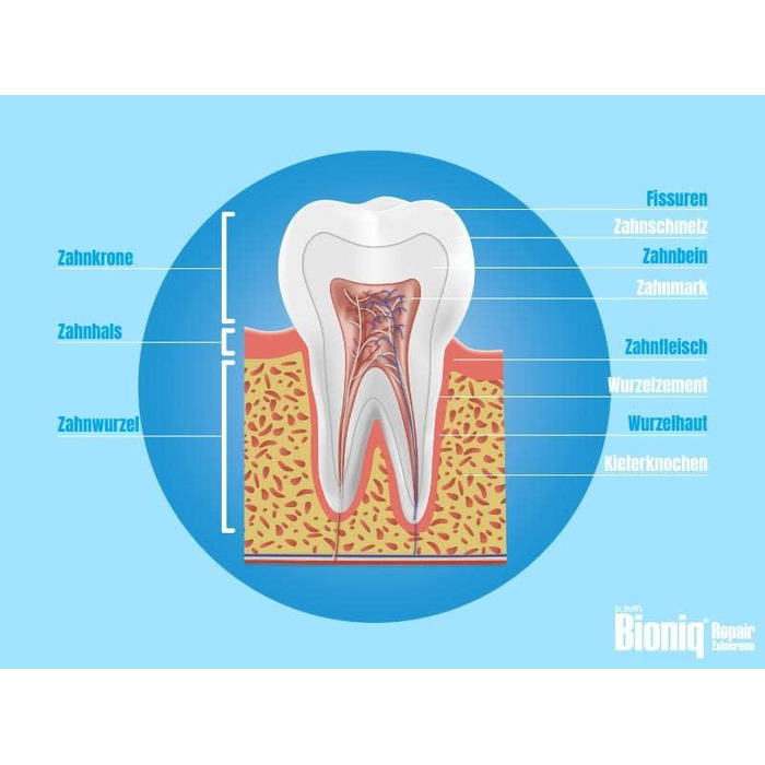 Зубна паста Bioniq Duo, 3 x 75 мл і Tooth Milk, 1 x 400 мл в наборі - Захист для чутливих зубів Відновлююча зубна паста та ополіскувач для порожнини рота зі штучною зубною емаллю Без фтору