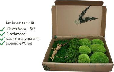 Мох Hello Moss для крафта - набір, що складається з 6 кулькових мохів ісландського моху, 1 пластинчастого моху, стабілізованого амаранту та японського кореня - збережений живий мох - набір DIY із зображенням моху (середньозелений)