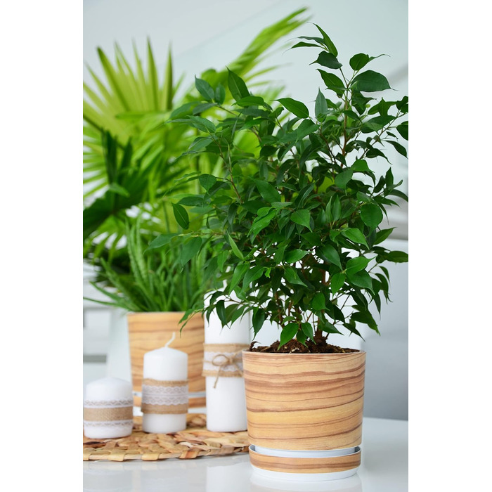 Горщик для квітів з блюдцем - Візерунок 047 Бамбук - 26 см - Кашпо з високоякісного пластику - Декоративний горщик для рослин 26 с