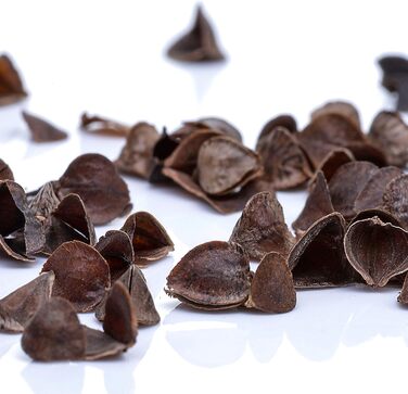 Подушка для йоги BODYMATE Half Moon, 42 см завдовжки, 30 см завширшки та 15 см заввишки, з наповнювачем з гречаної лушпиння Чохол, який можна прати в пральній машині, виготовлений зі 100 надтовстої бавовни Подушка для медитації Подушка сидіння, світло-сір