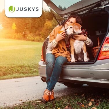 Транспортувальний бокс для собак Juskys Lassie XL, складний та портативний, 56 x 81 x 58 см з ковдрою, сумкою та ручками - складний транспортувальний бокс для собак, котів та домашніх тварин - клітка для собак з тканини Оксфорд, сумка для собаки - сірий