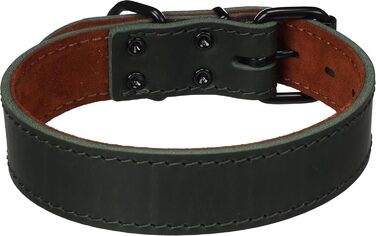 Нашийник для собак Montana Зелений M/L 39,5-49,5 см 35 мм