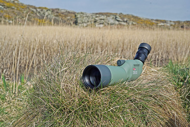 Підзорна труба Kowa TSN-601 60 mm Angled (10016)