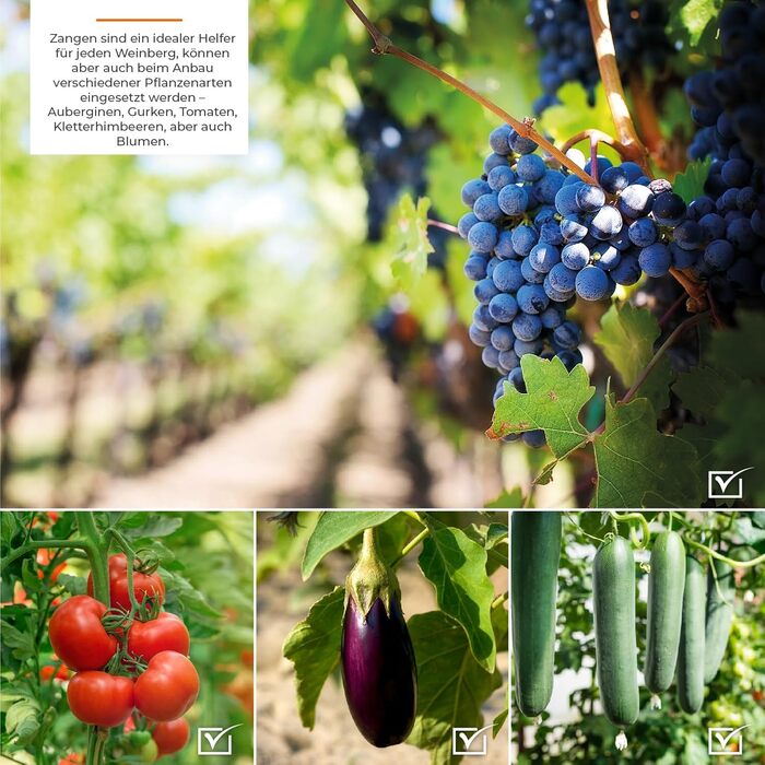 Машина для обв&39язування рослин STREND PRO Cameleon Плоскогубці для обв&39язування рослин, включаючи рулон для обв&39язування, скоби Плоскогубці для обв&39язування рослин для помідорів, винограду, виноградників, огірків Садові аксесуари, Аксесуари для ро