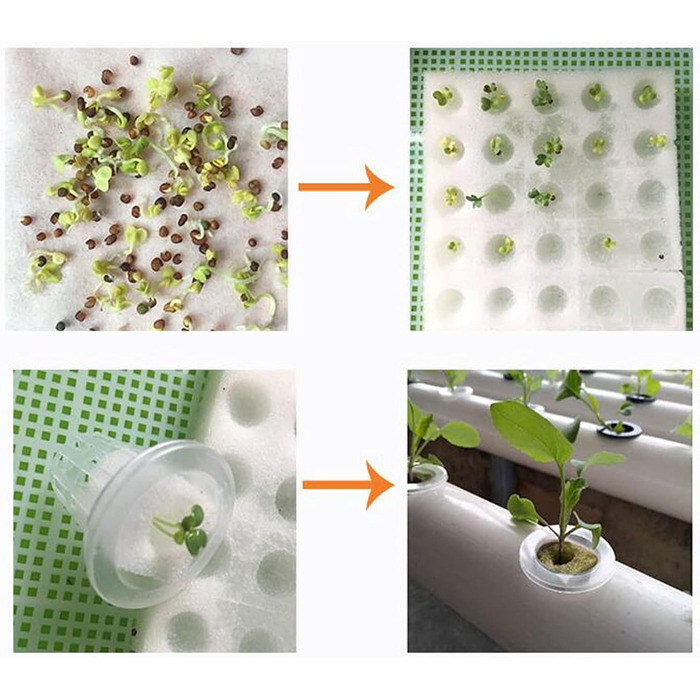 Настінна система гідропонічного вирощування з 36 точками посадки 4-шарова система гідропонічного вирощування Шланги для безґрунтового вирощування з потовщеним зєднаннямВодяний насос (36 точок посадки)