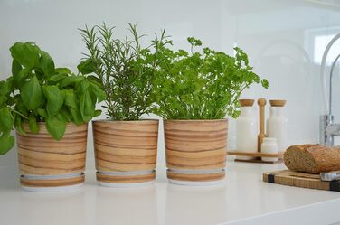 Горщик для квітів з блюдцем - Візерунок 047 Бамбук - 26 см - Кашпо з високоякісного пластику - Декоративний горщик для рослин 26 с