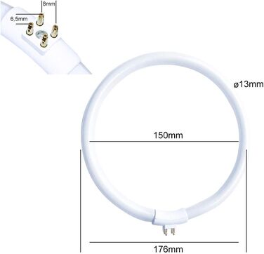 Люмінесцентна лампа кільцева трубка T4 22W/865 холодний білий 6500K денне світло G10q ззовні 4 контакти