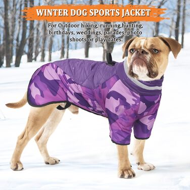 Водонепроникне пальто для собак Vivi Bear, зимовий вітрозахисний теплий жилет для собак із світловідбиваючими смужками та D-подібним кільцем для відпочинку на свіжому повітрі, тренувань, спорту та полювання, 5XL фіолетовий