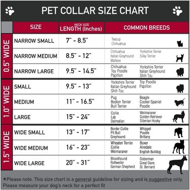 Нашийник для собак Buckle-Down Scooby Doo, пластикова застібка, багатоколірний, ширина 2,5 см, підходить для обхвату шиї 38-66 см, розмір L (DC-BKSR-WSD014-1.0-L). Ширина 2,5 см - підходить для обхвату шиї 38-66 см - великий розмір, багатоколірний.