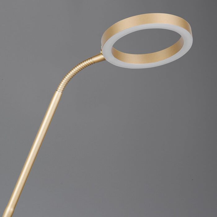 Стільовий торшер Trio Leuchten Willis 449510279, металевий, золотистий, 39 5.5 Вт LED, регульована колірна температура, диммер