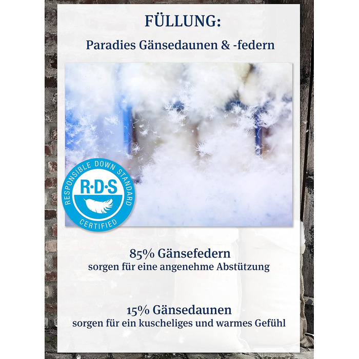 Пухова подушка PARADIES 80x80 см - 1200 г - Cleo Firm Organic - Жорстка подушка 80x80 см з гусячим пір&39ям та пухом, сертифікованими RDS, 80 x 80 см, висока підтримка