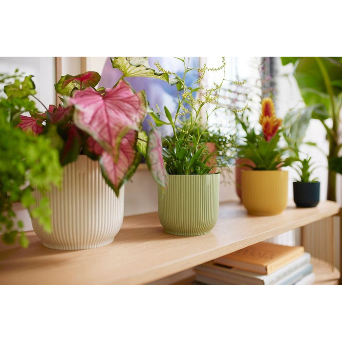 Круглі горщики для рослин elho Vibes Fold - Кімнатні квіткові горщики - 100 перероблений пластик - Набір з 3 шт. - Ø 14, 16, 18 см - Зелений/Сорбет-зелений