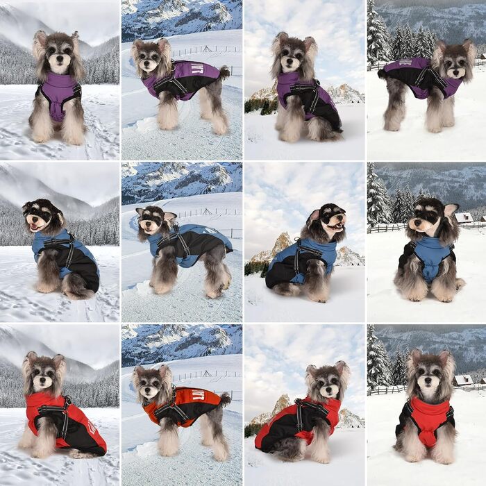 Пальто для собак, куртка для собак, зимове пальто для собак, водонепроникне пальто для собак, шлейка для собак, пальто, пальто для маленьких собак, зимове пальто для собак зі шлейкою для маленьких, середніх та великих собак, L, фіолетовий