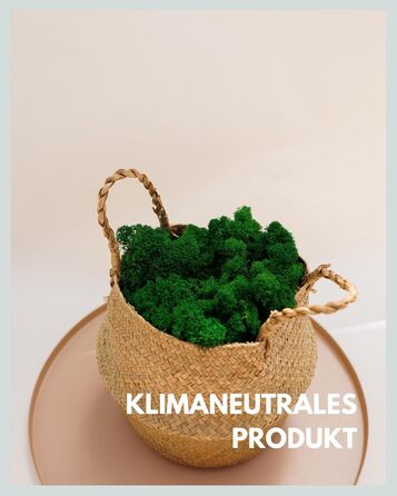 Ісландський мох натуральний зелений збережений I Декорація з моху для крафта I 500г Справжній декоративний мох Ісландський для картини з моху та живої мохової стіни