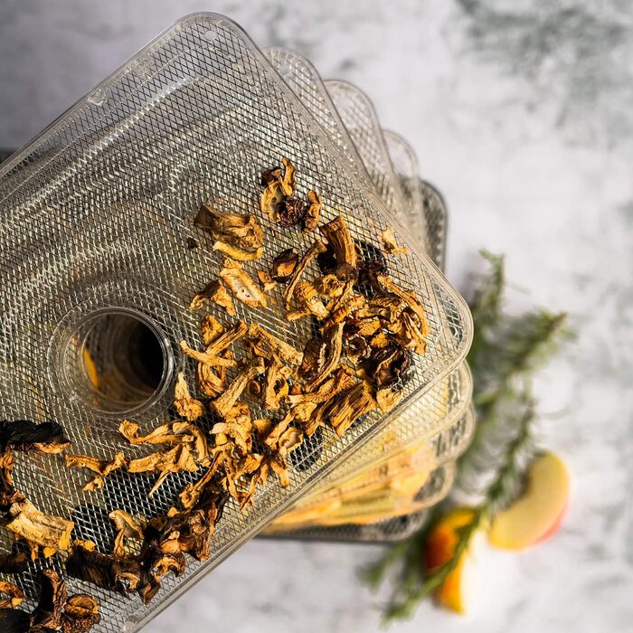 Дегідратор з нержавіючої сталі Wessper цифровий з таймером до 99 годин і регулятором температури від 35-70 за Цельсієм, 5 поверхів, без бісфенолу А, дегідратор дегідратор Дегідратор кутова сушарка для фруктів дегідратор з таймером