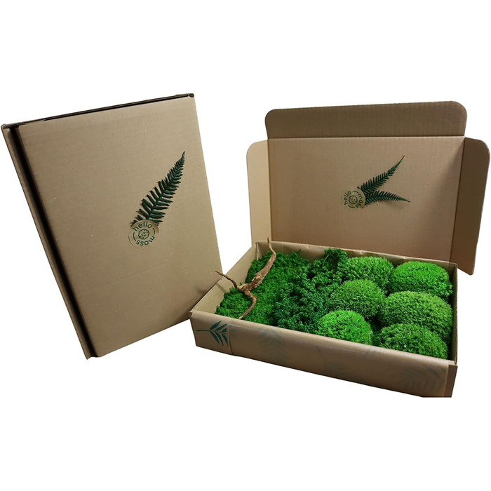 Мох Hello Moss для крафта - набір, що складається з 6 кулькових мохів ісландського моху, 1 пластинчастого моху, стабілізованого амаранту та японського кореня - збережений живий мох - набір DIY із зображенням моху (середньозелений)