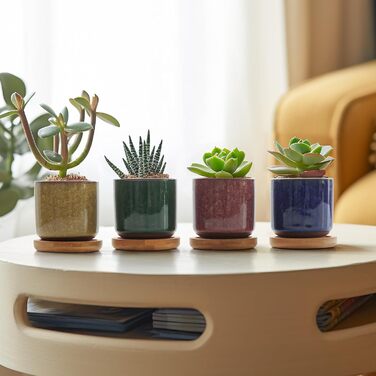 Керамічні горщики для сукулентів Кактус горщики міні квіткові горщики Ice Crack Taller серія 6 кольорів набір з блюдцем, 4U 6,3