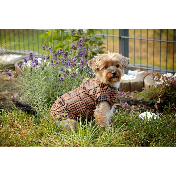 Водонепроникне пальто/дощовик/зимове пальто Selente Paw Parade для собак малих та середніх розмірів з флісовою підкладкою (вироблено в ЄС), малинове, розмір 3