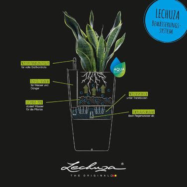 Колір 22 сланець сірий 13164 сланець сірий садовий одинарний