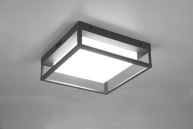Стельовий світильник Trio Witham 677860142 LED для вулиці, метал антрацит/пластик білий, 10.5 Вт, регульована колірна температура