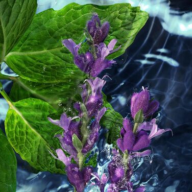 Туалетна вода Davidoff Cool Water Man (75 мл)