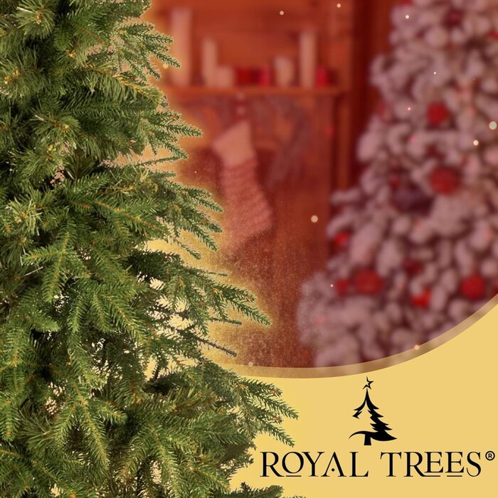 Штучна ялинка 210 см ROYAL TREES