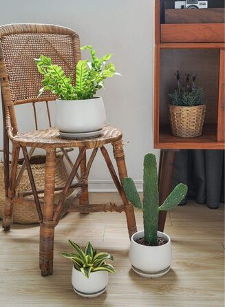 Керамічні квіткові горщики LE TAUCI з блюдцями, набір маленьких квіткових горщиків діаметром 101316 см, набір з 3 горщиків для кімнатних рослин, горщики з дренажним отвором, білі