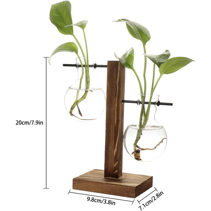 Ваза для гідропонних рослин belupai, ретро горщик для квітів, прозора ваза з дерев'яною рамою, настільне рослинне скло для дому, бонсай, прикраса, B-ваза з 2 цибулинами, 11,5 х 19,5 см B (ваза з 2 цибулинами)