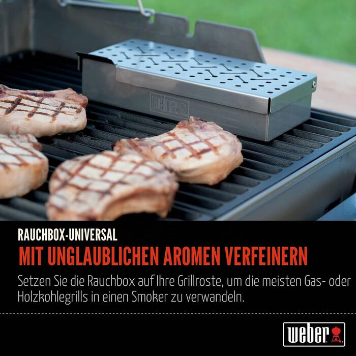 Коптильня Weber Rucherbox (24 x 12 x 5 см) з нержавіючої сталі з вентиляційними отворами для газових грилів, срібляста (7576)