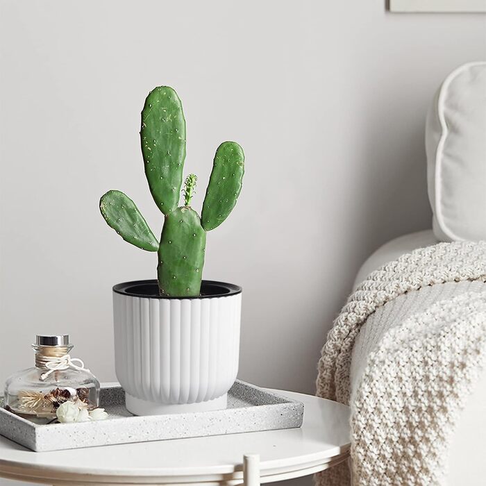 Кашпо для квітів з гнітом пластикове, кашпо для орхідей, кашпо для базиліка, кашпо для квітів малий набір біле набір з 6 шт. Ф12см