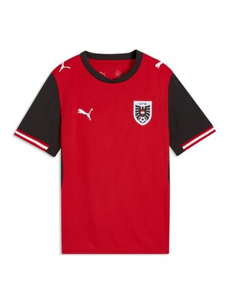 Репліка домашнього джерсі PUMA Boys FB Home Jersey Jr (1 упаковка) 164 Puma Red-puma-black
