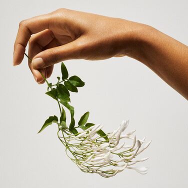 Туалетна вода Tommy Girl 100 мл, спрей 100 мл (1 упаковка)