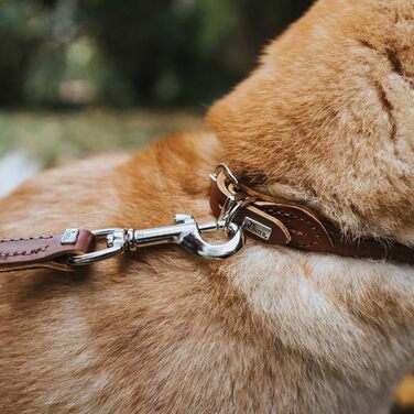 Ошийник для собак HUNTER ROUND & SOFT, колір коричневий, м'яка шкіра бичачого замші, міцна нейлонова підкладка, дбайливий до шерсті та з обкруглими швами, розмір 40 см, коричневий