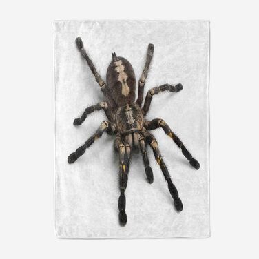 Ковдра з європейського тарантула, дитяча ковдра, ковдра на диван, плюшева ковдра, пухнаста м&39яка ковдра, покривало для дивана та кушетки, постільна білизна, вовняна ковдра - 150x180 см